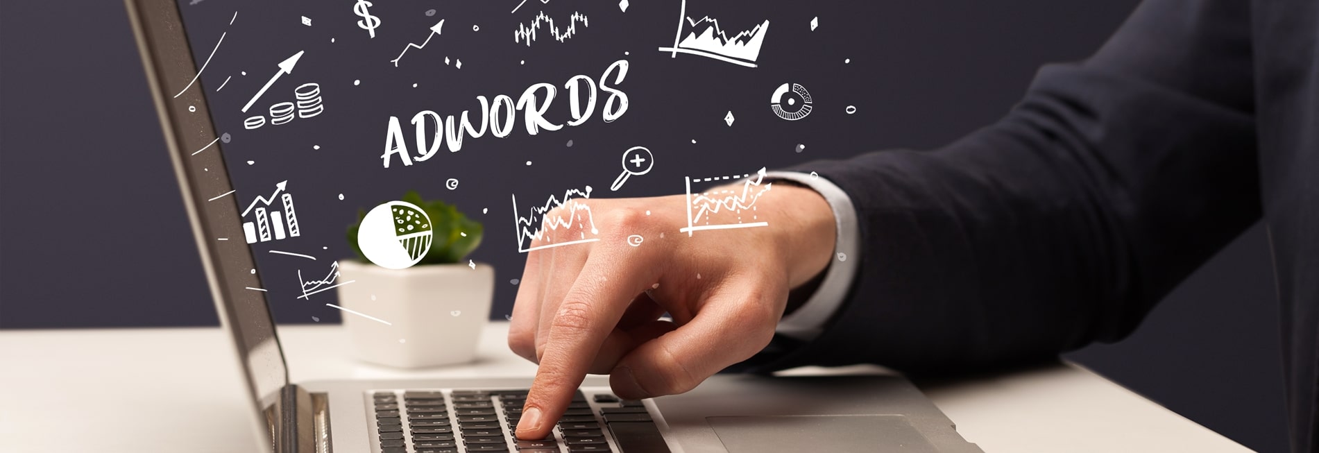 Google Ads + Analytics